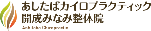 【小田原・南足柄・開成｜めまい】